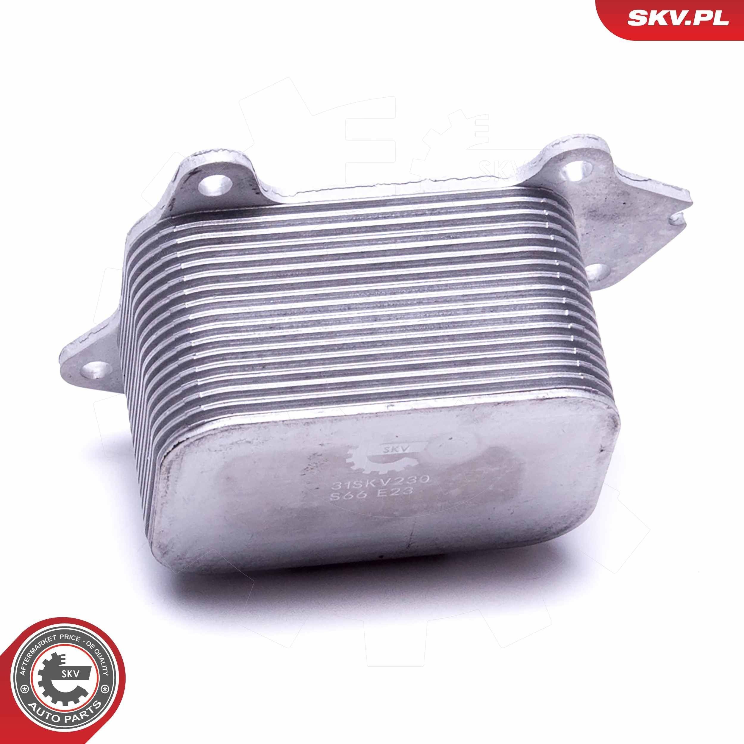 31SKV230 SKV